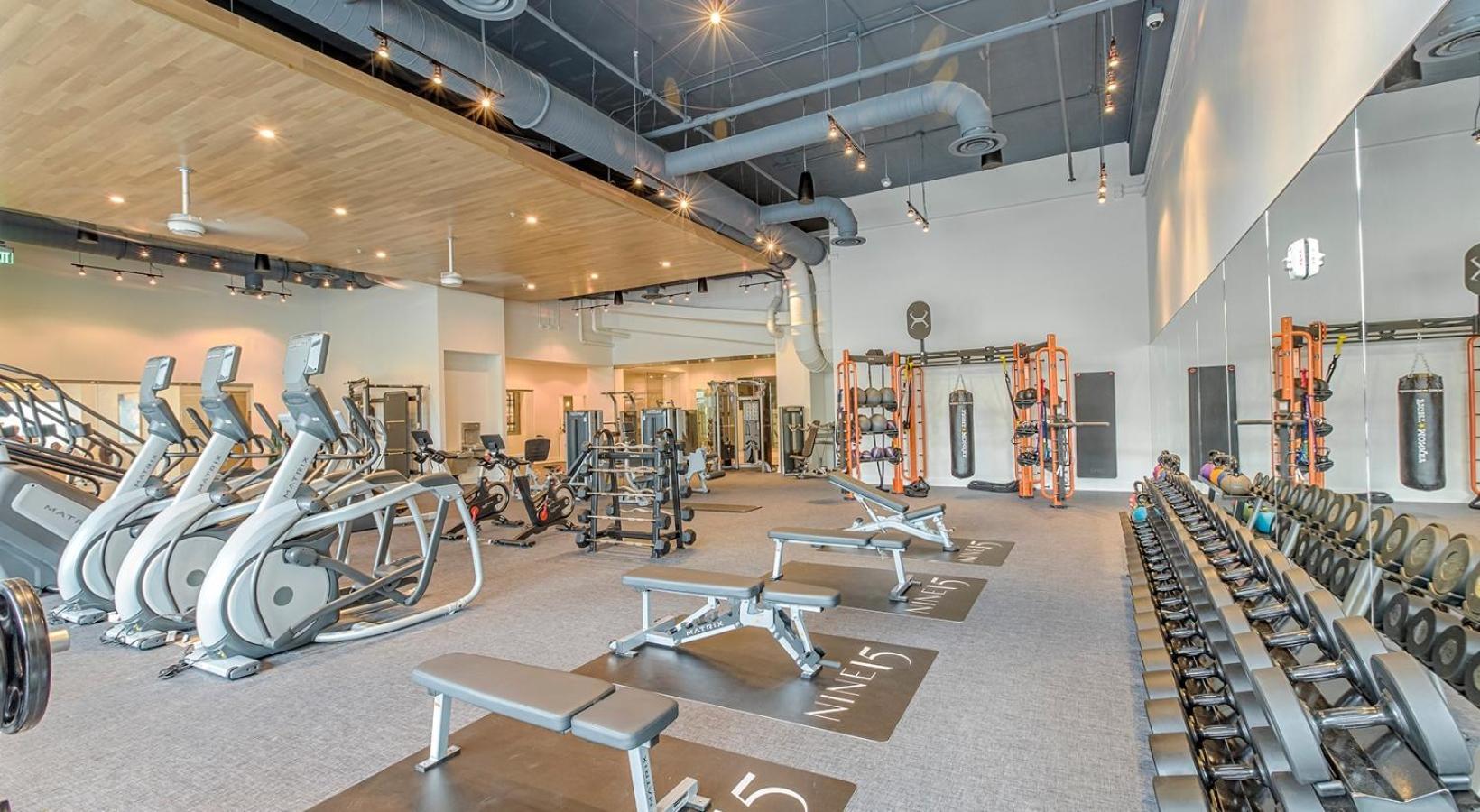 Apartment 1br Oasis In Downtown W Balcony & Views Tampa